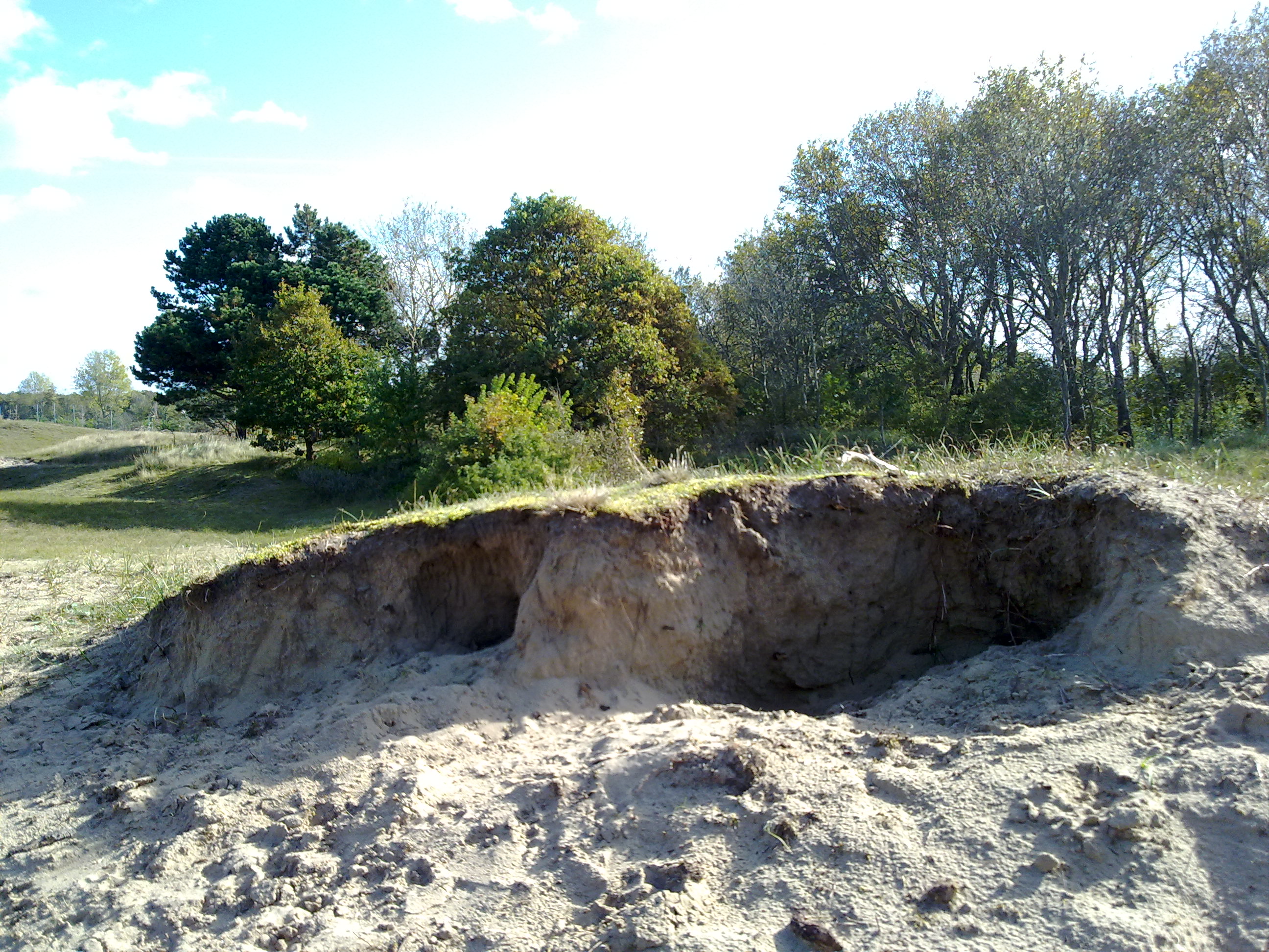 Vrijstaande konijnenvilla te koop