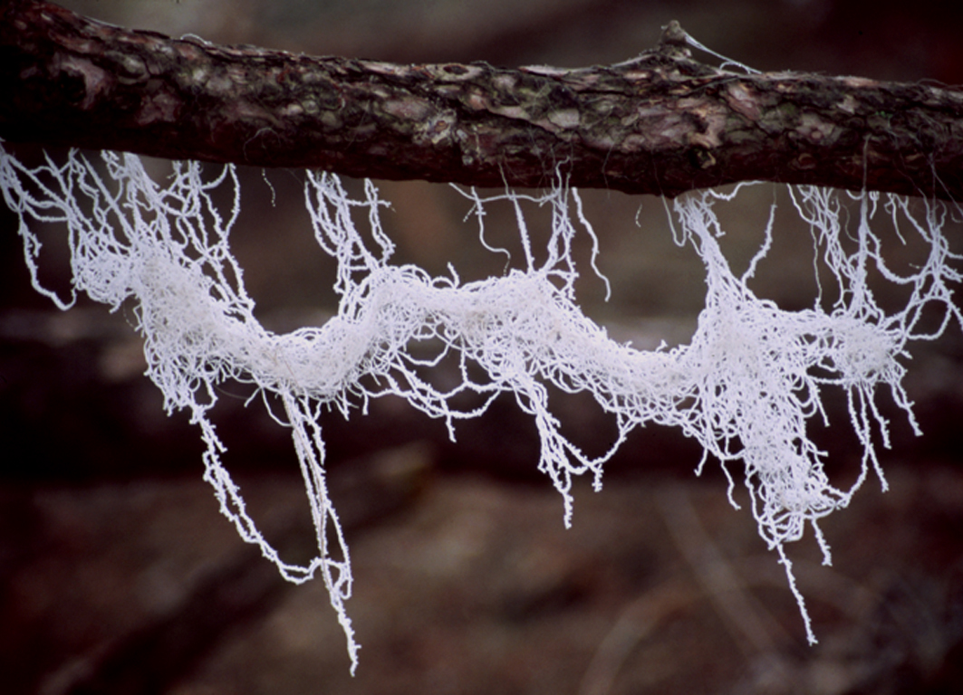 Net een breiwerkje...
