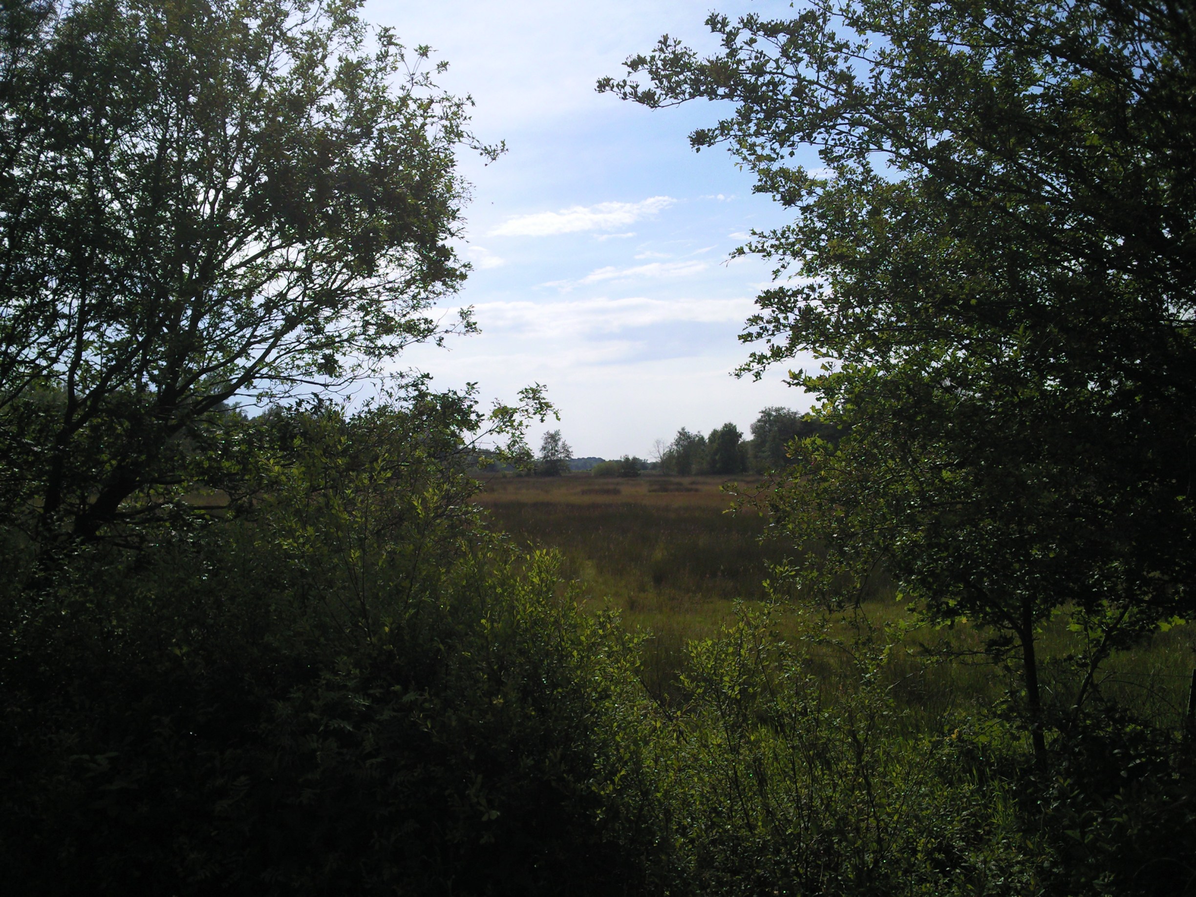 Vanaf de Kolonieweg