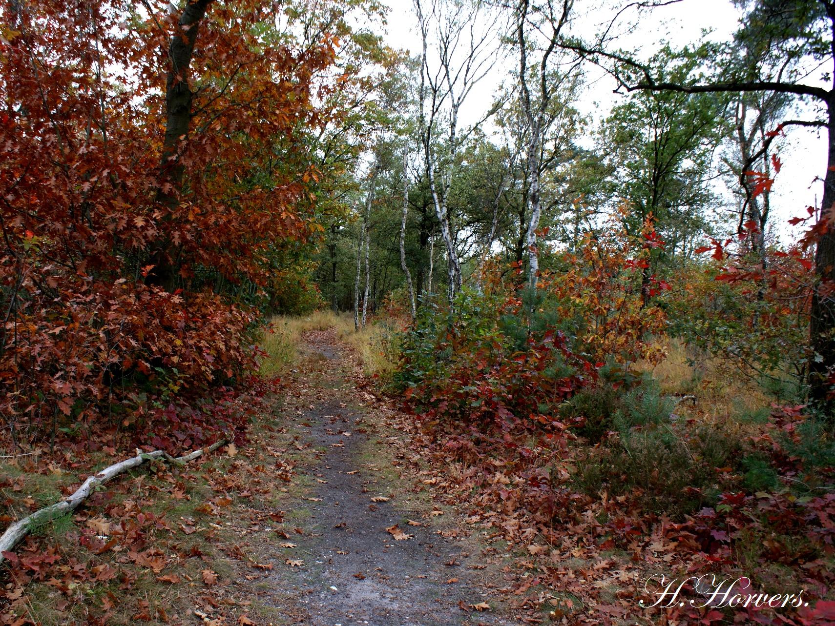 Herfst Landschap