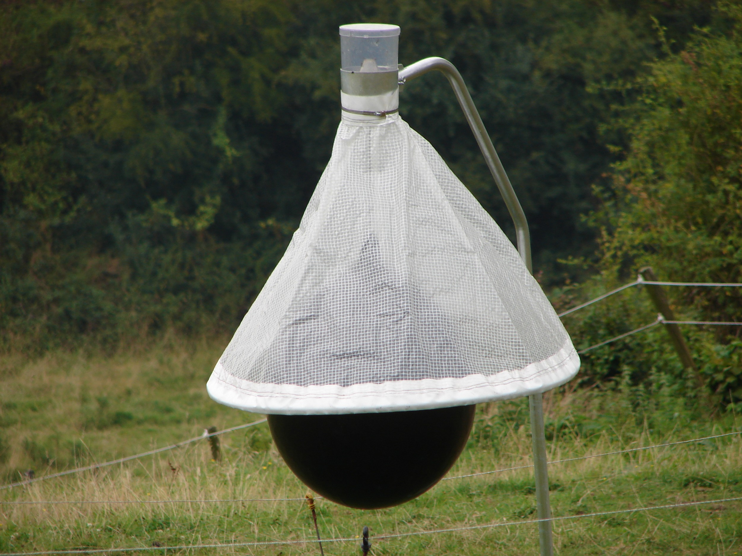 Kunstmatige paardenbillen