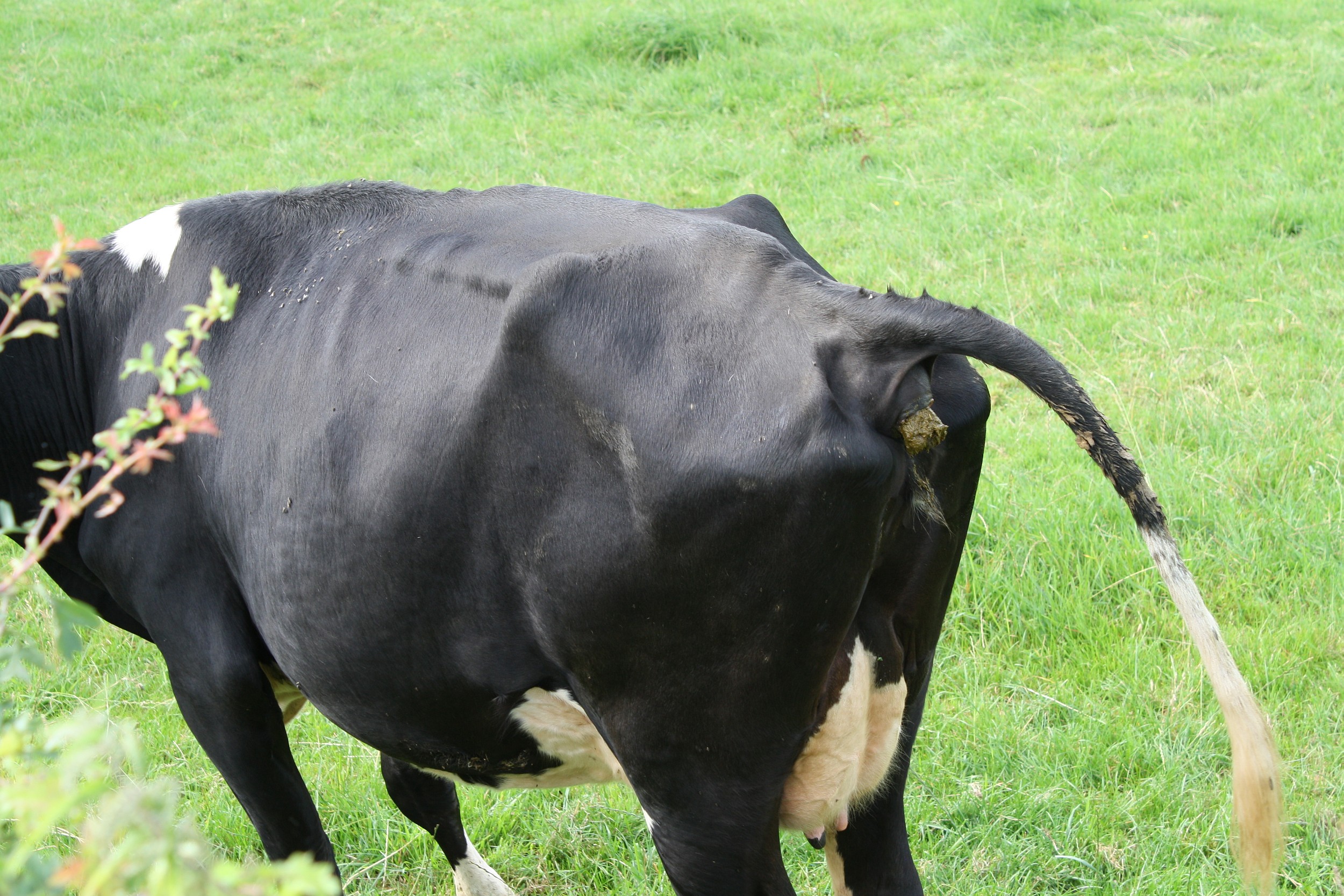 Hè, hè, dat lucht op!