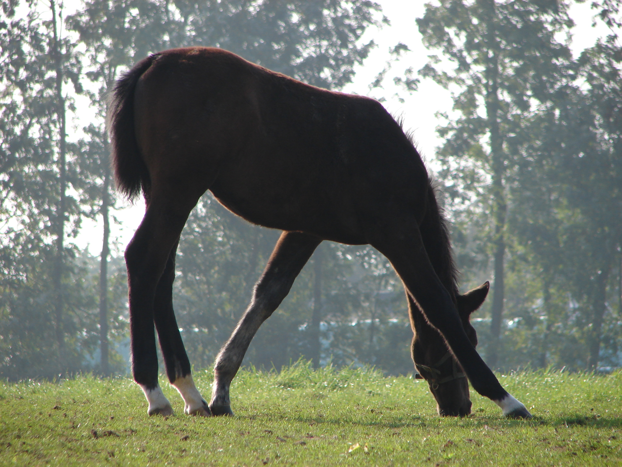 Ik kom er bijna niet bij...
