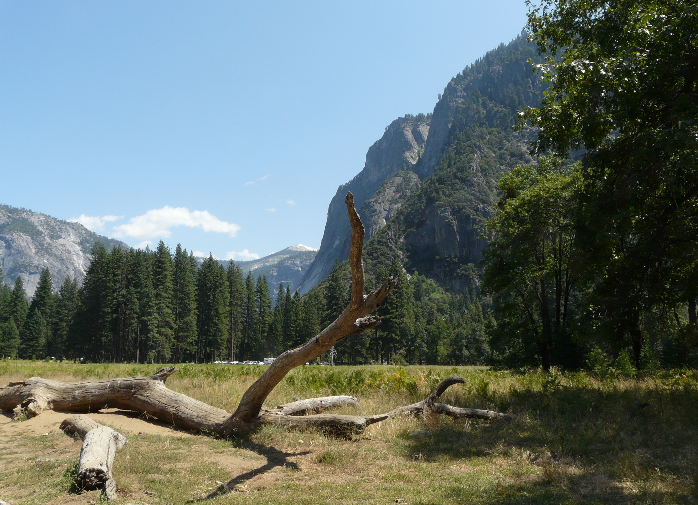 Yosemite park