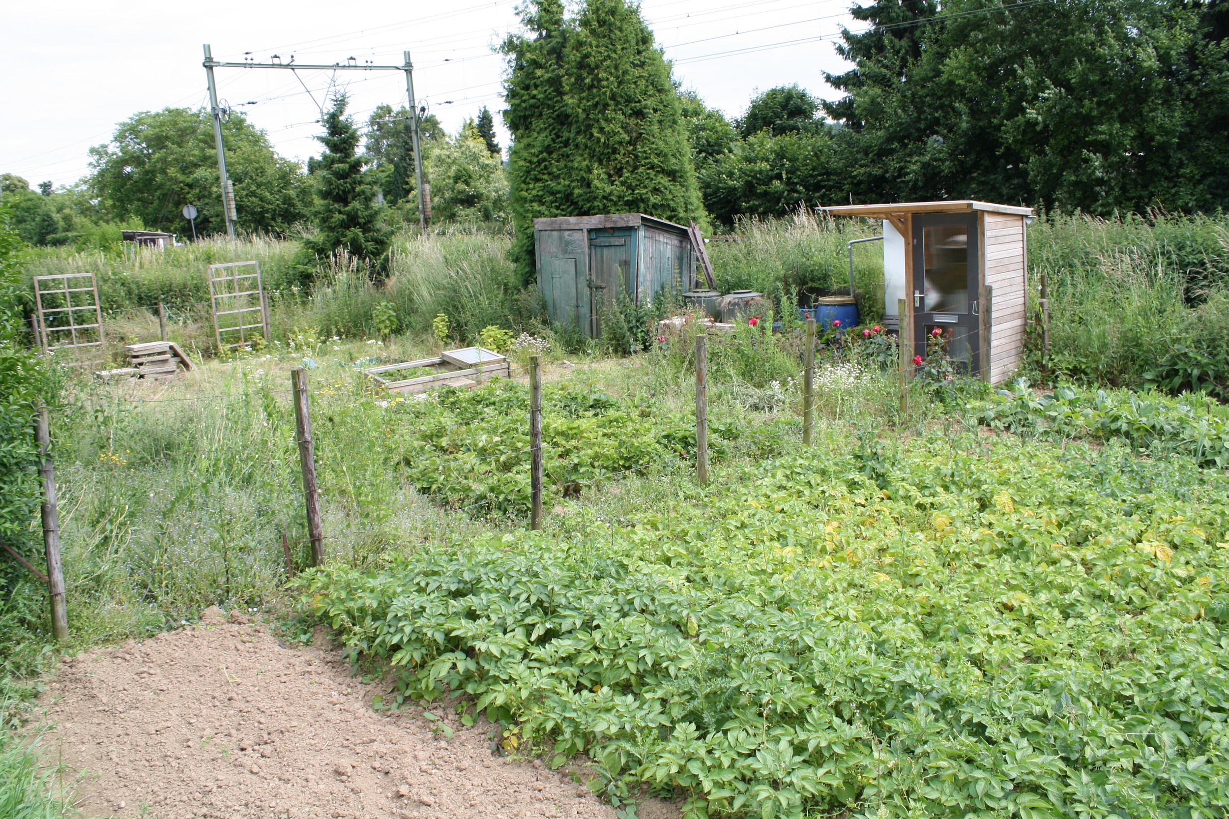 Volkstuintje in Valkenburg