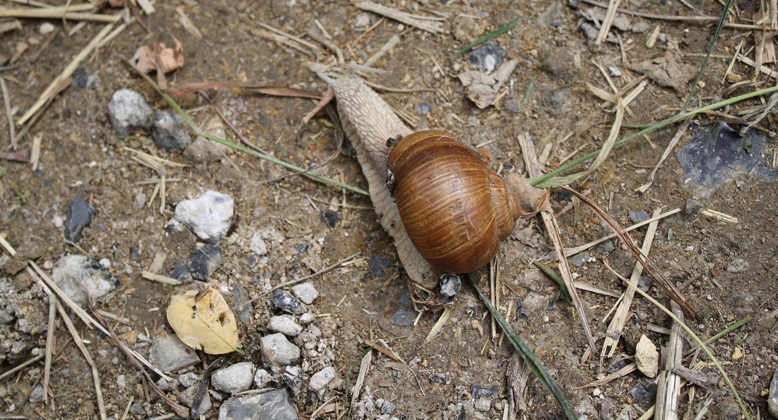 Hoe kom ik hier zo snel mogelijk weg?