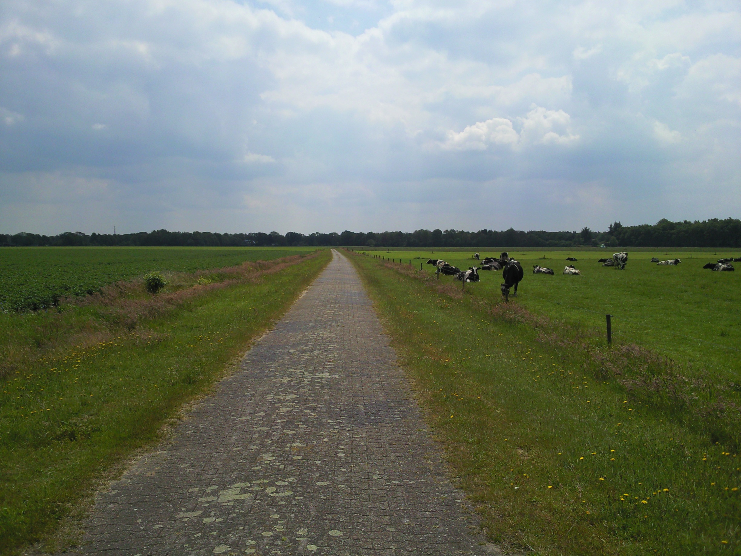Holtinge II