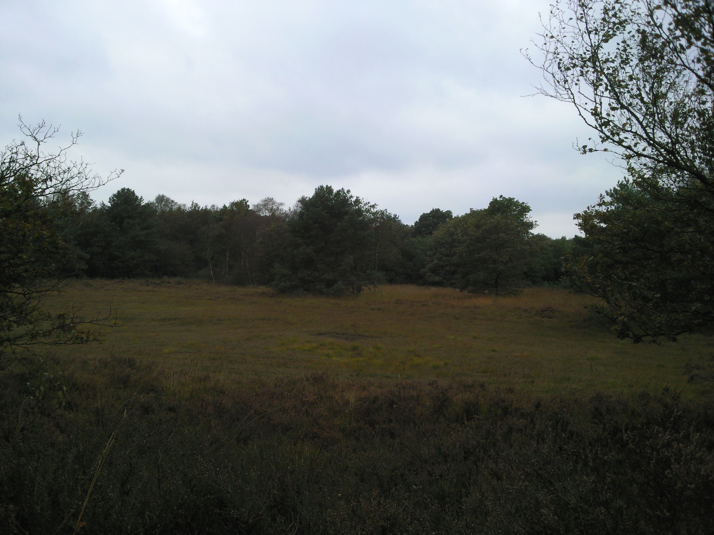 Havelte-Oost / Uffelterzand 002
