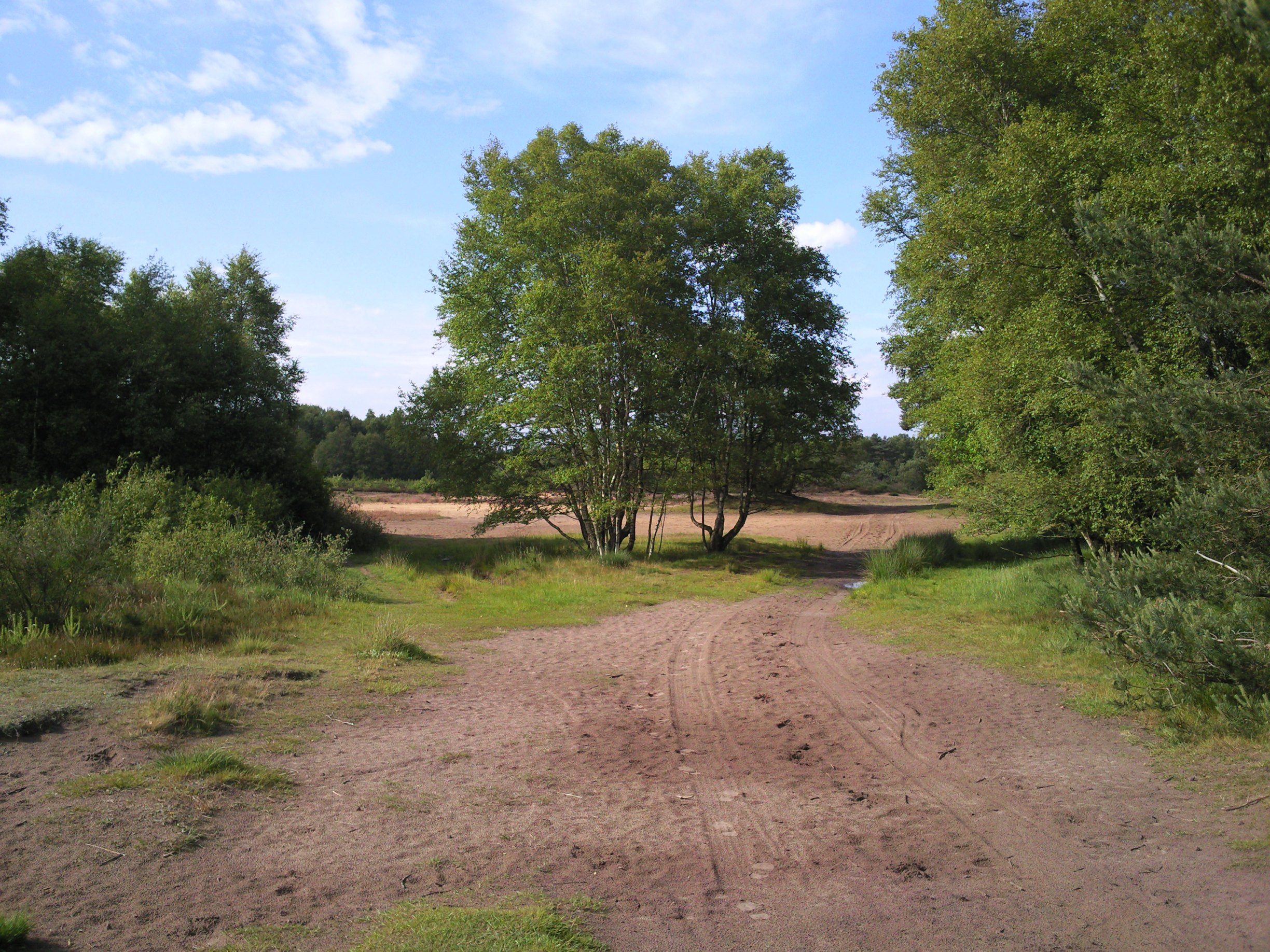 Havelte-Oost / Uffelterzand 006