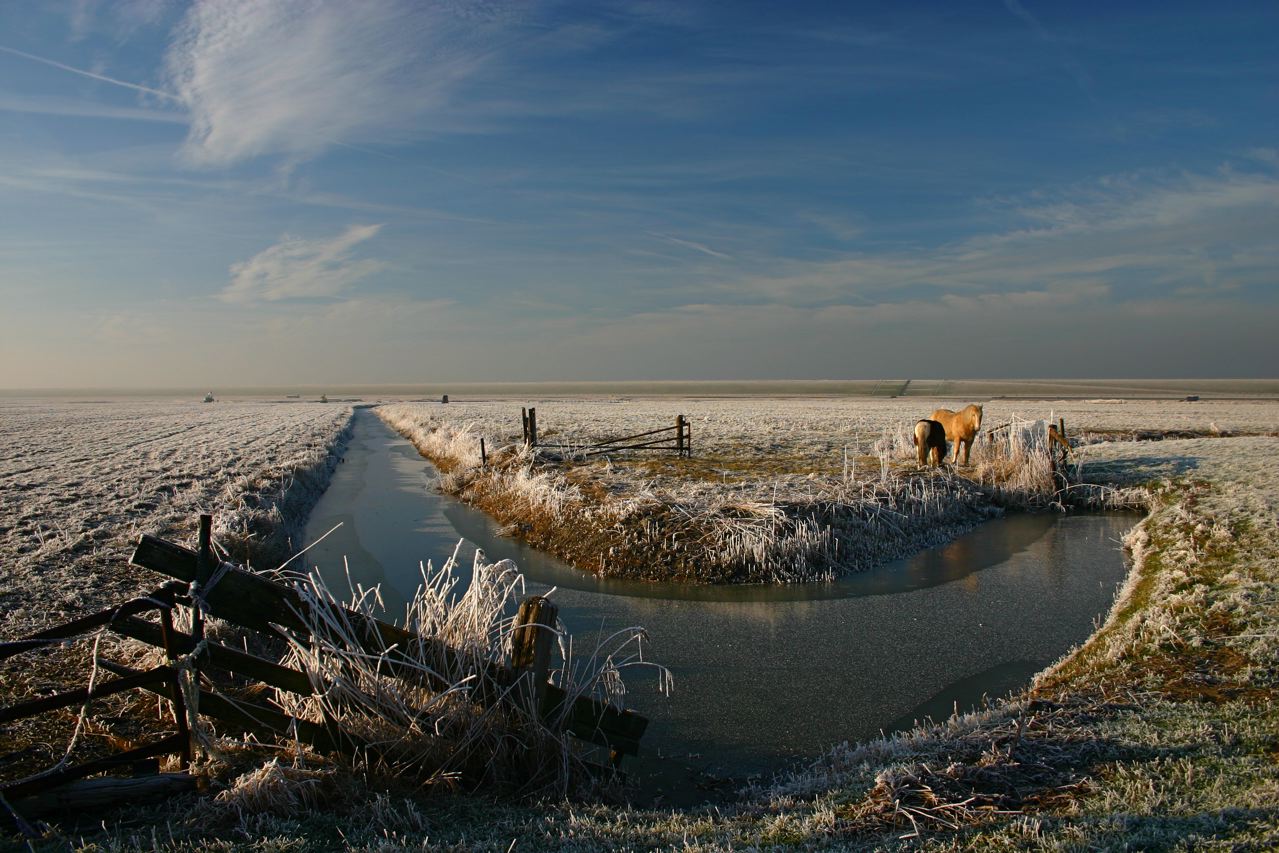 In de Pettemerpolder de Putten
