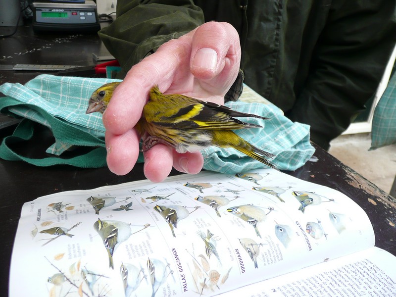 Geen ontsnappen mogelijk