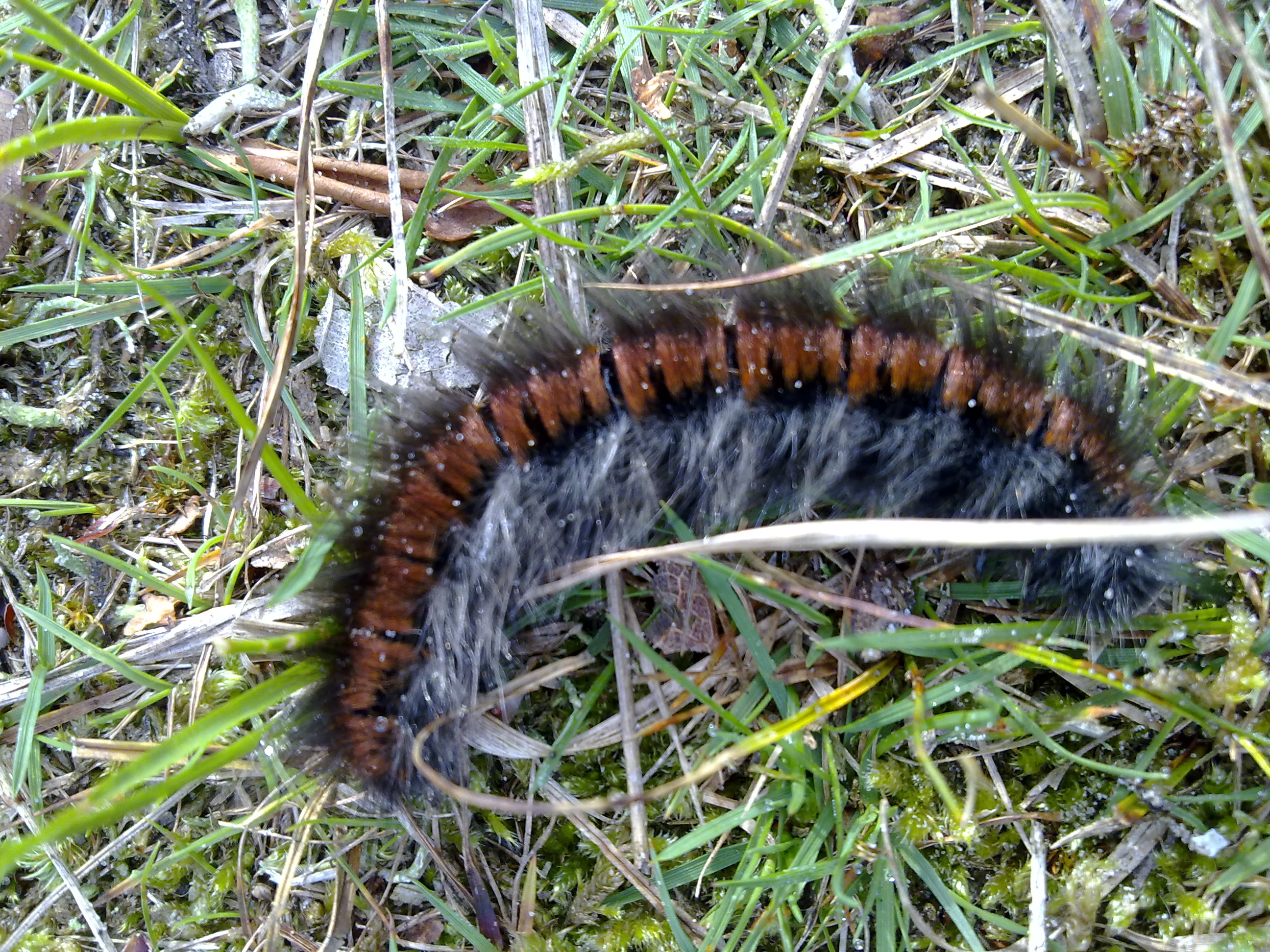 Ik zoek een goede kapper