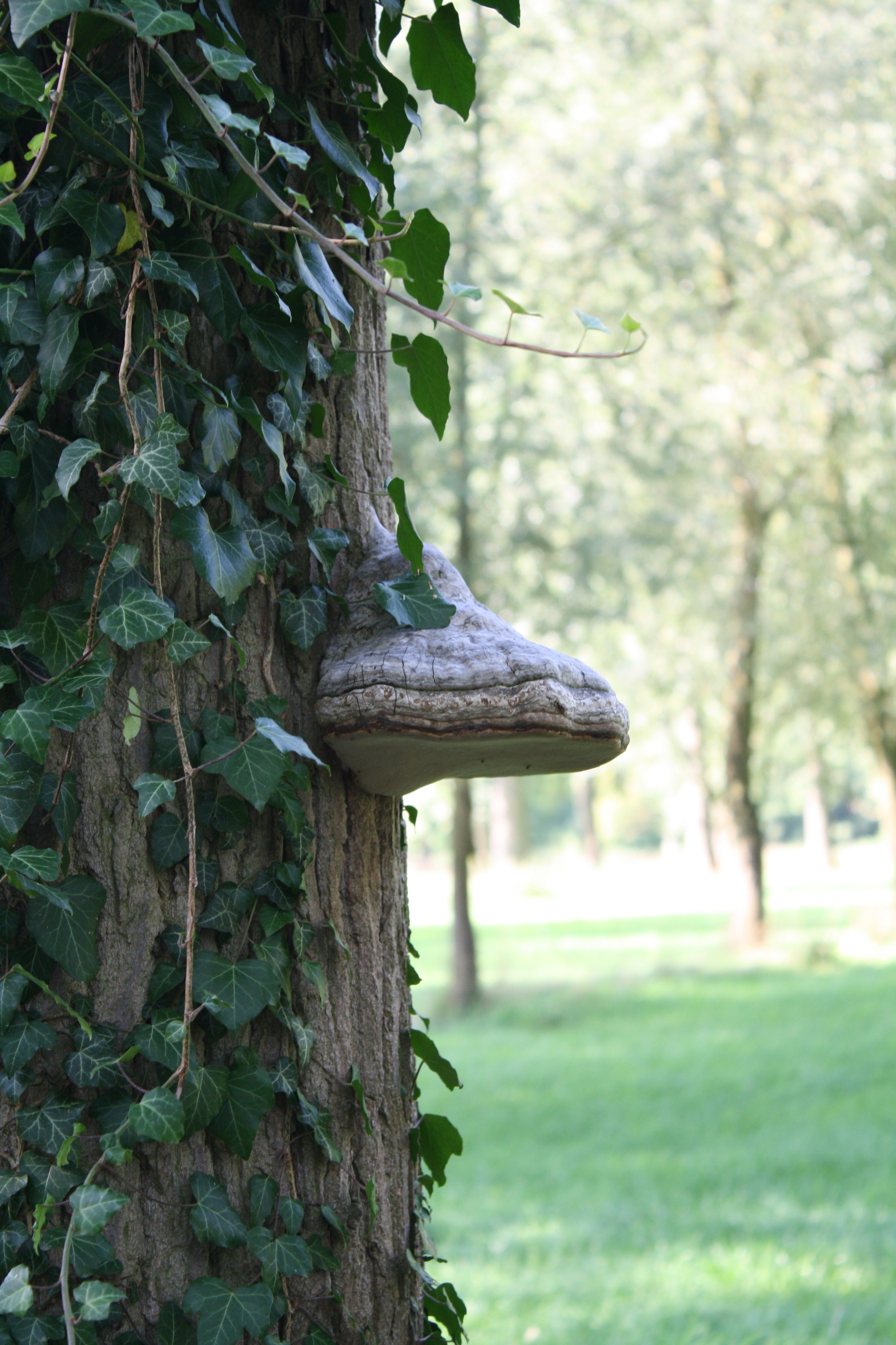 Ik zit helemaal onder.