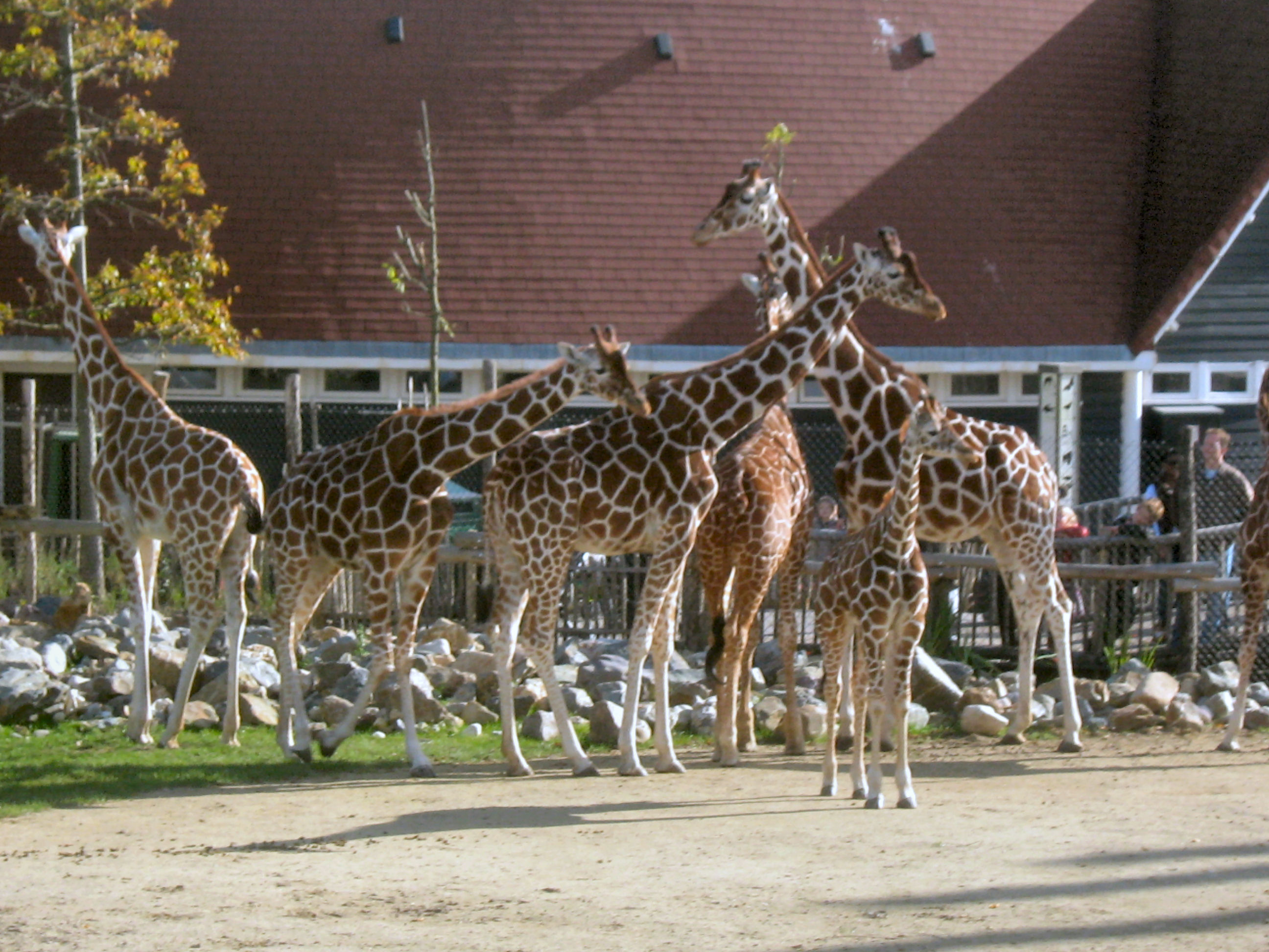 De familie bijeen....
