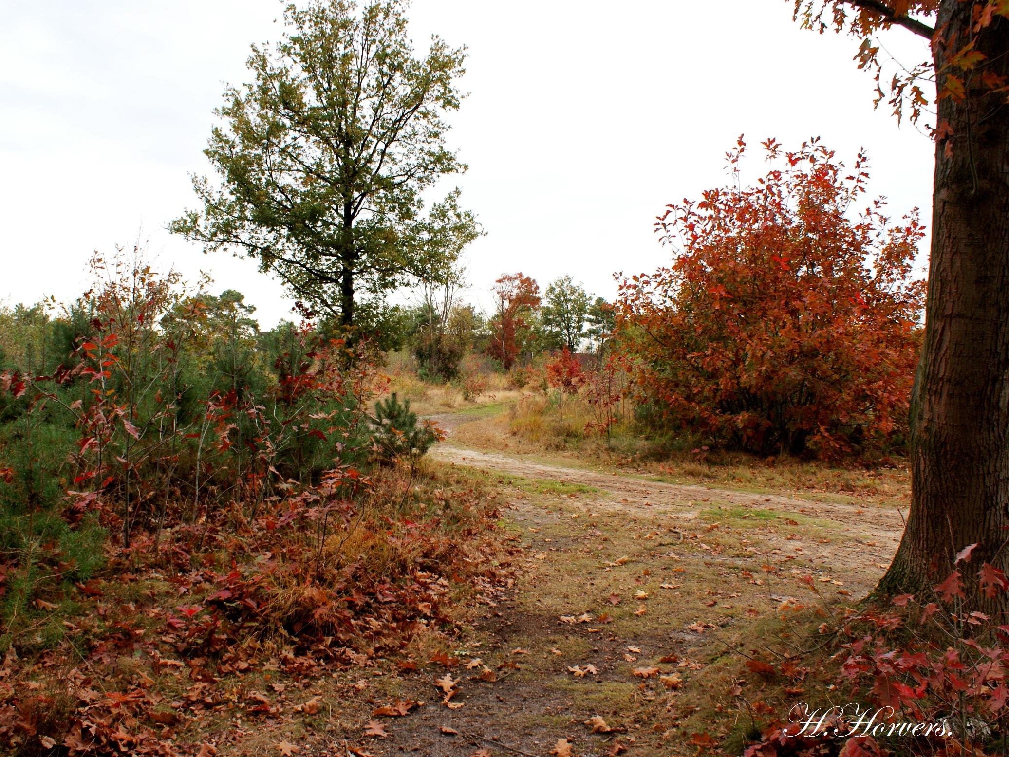 Landschap