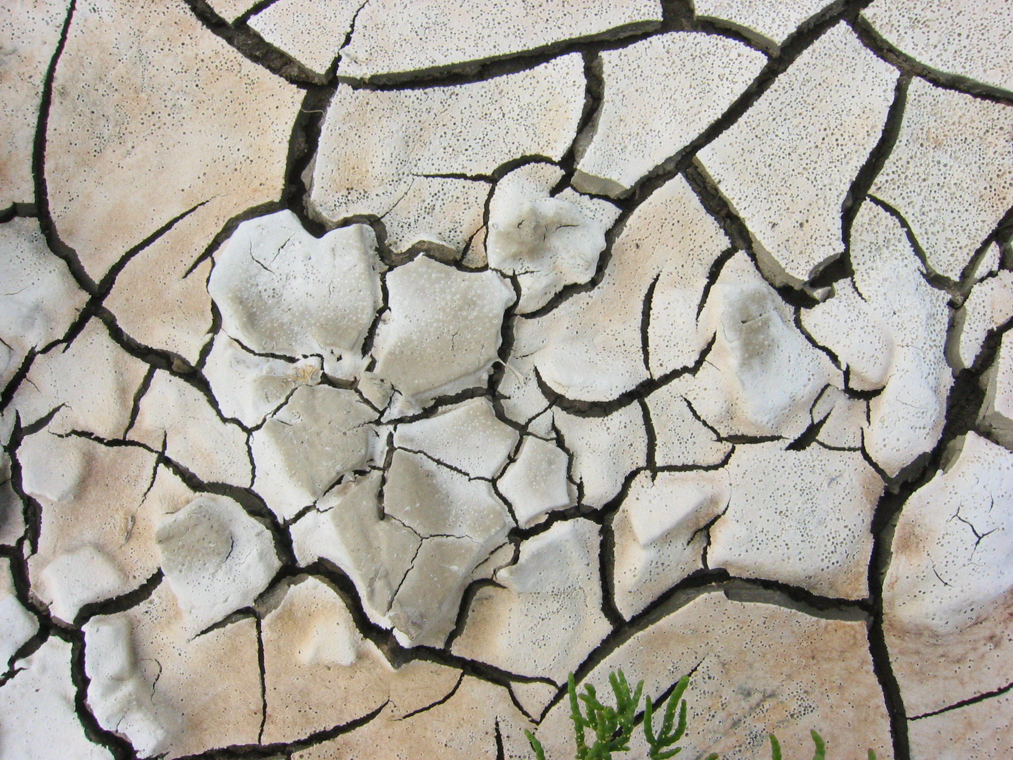 Droog slik bij Zwarte Haan