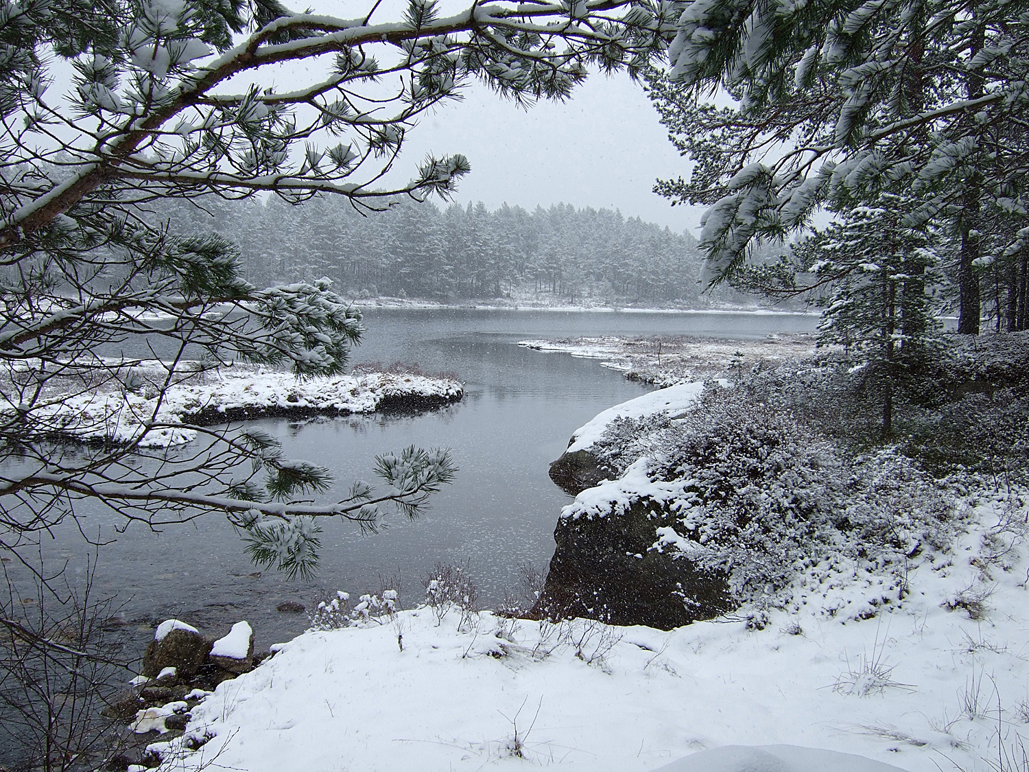 Winter, Süd Noorwegen