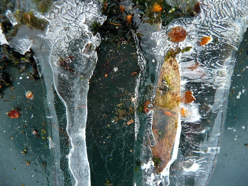 Kunst uit bevroren water