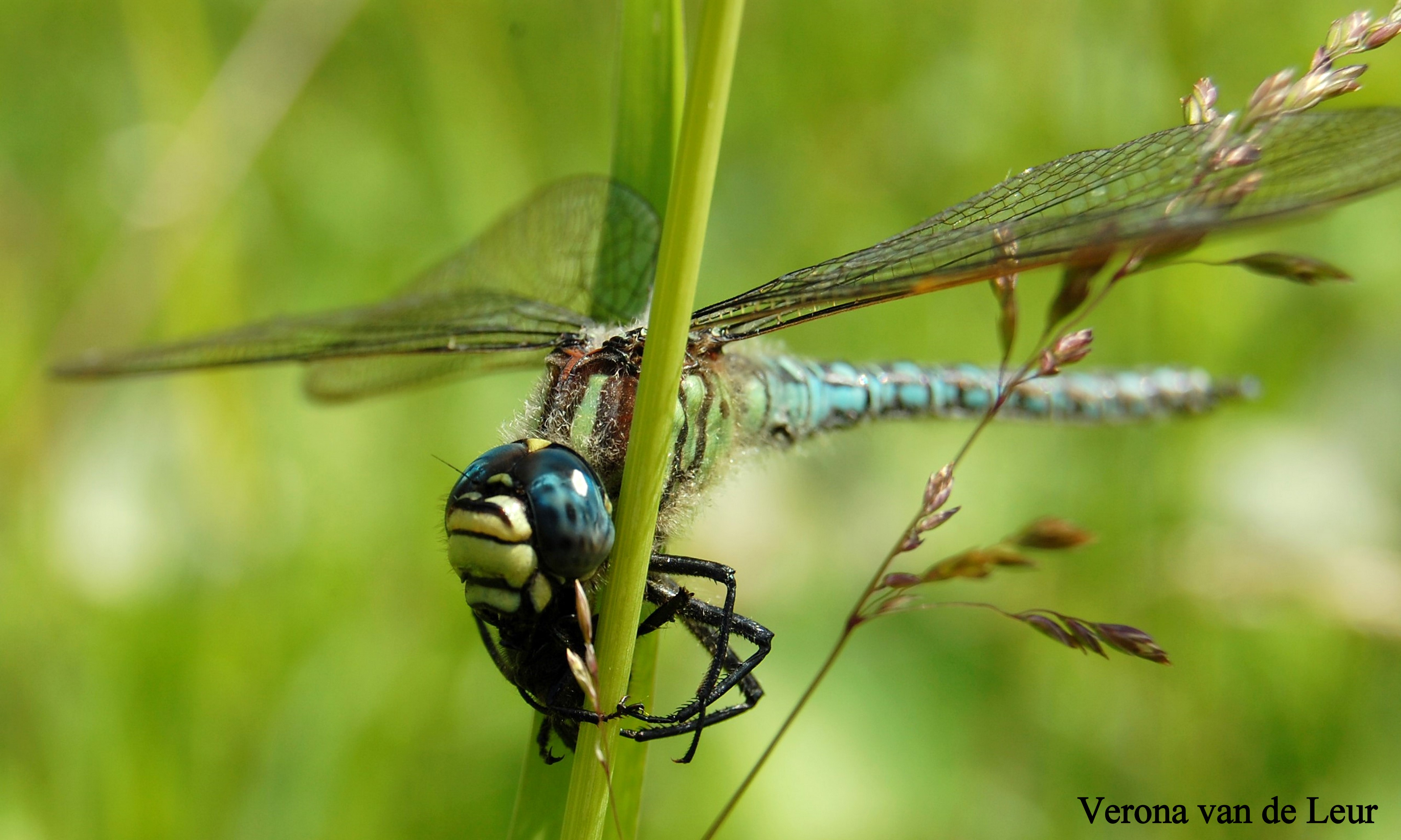 Een glazenmaker aan zijn lunch