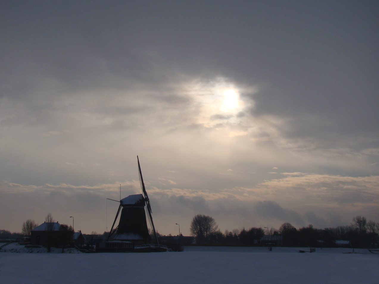 Dijkpoldermolen Maasland