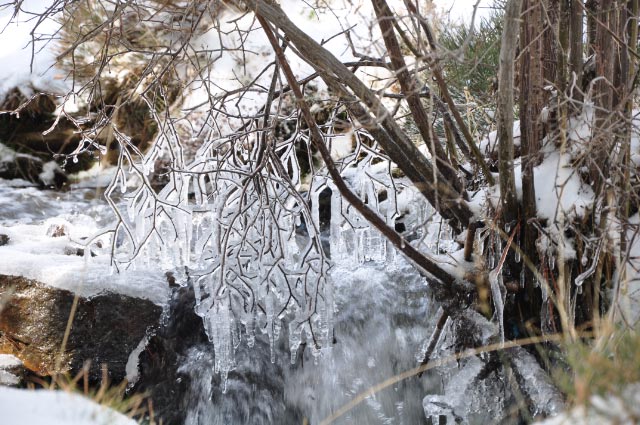 Ice Art