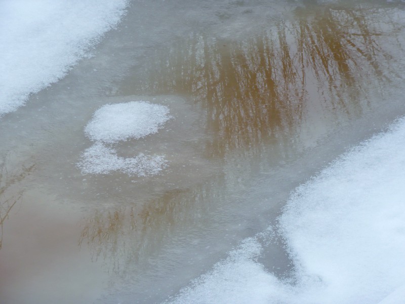 weerspiegeling in wintersloot