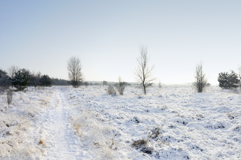 regte heide goirle