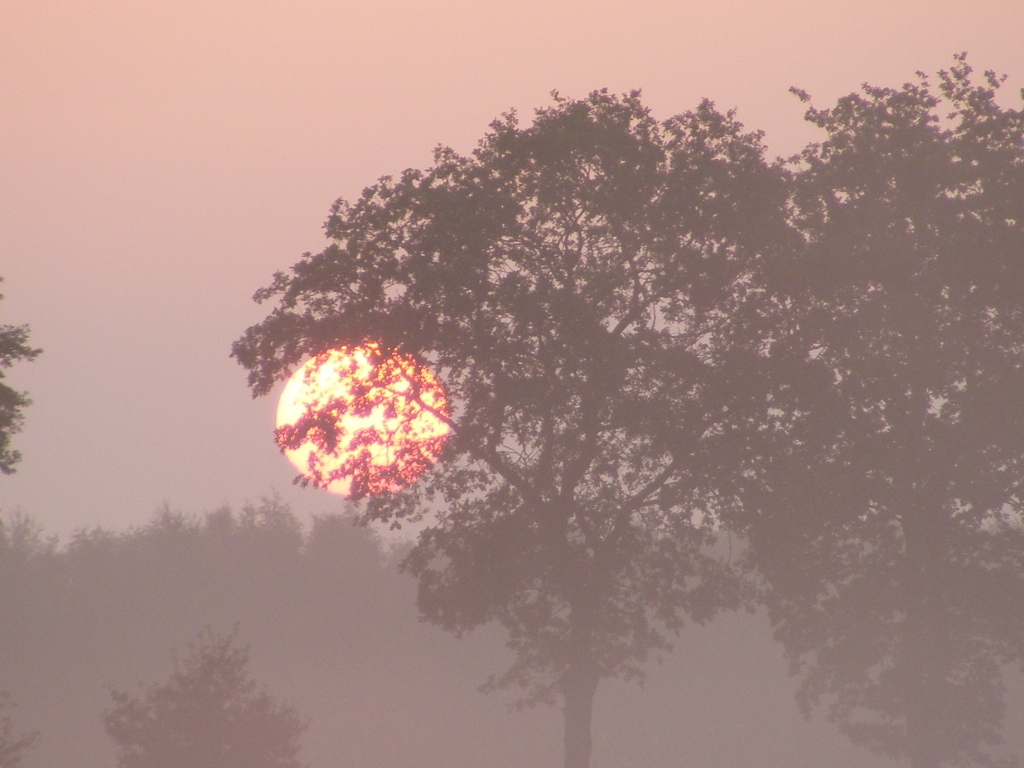 Zonsopkomst in de mist.