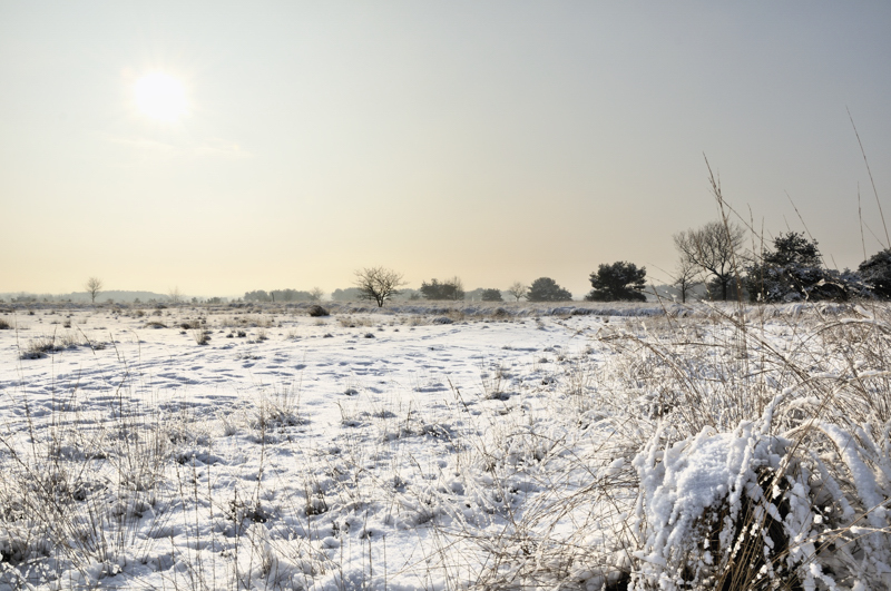 regte heide goirle