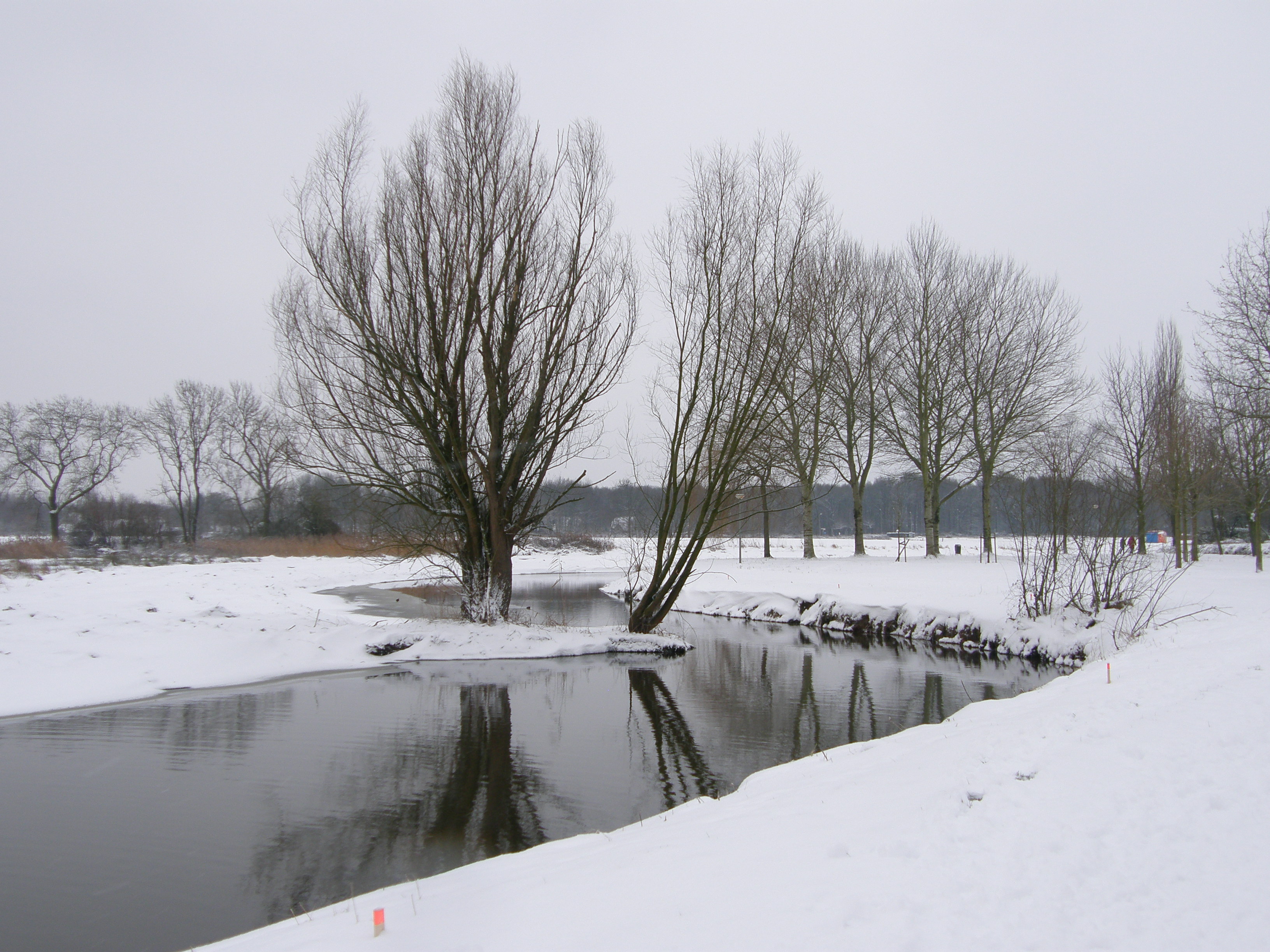 Winterse Dommelspiegelingen