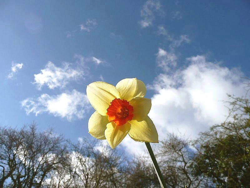 was het maar weer zover...!