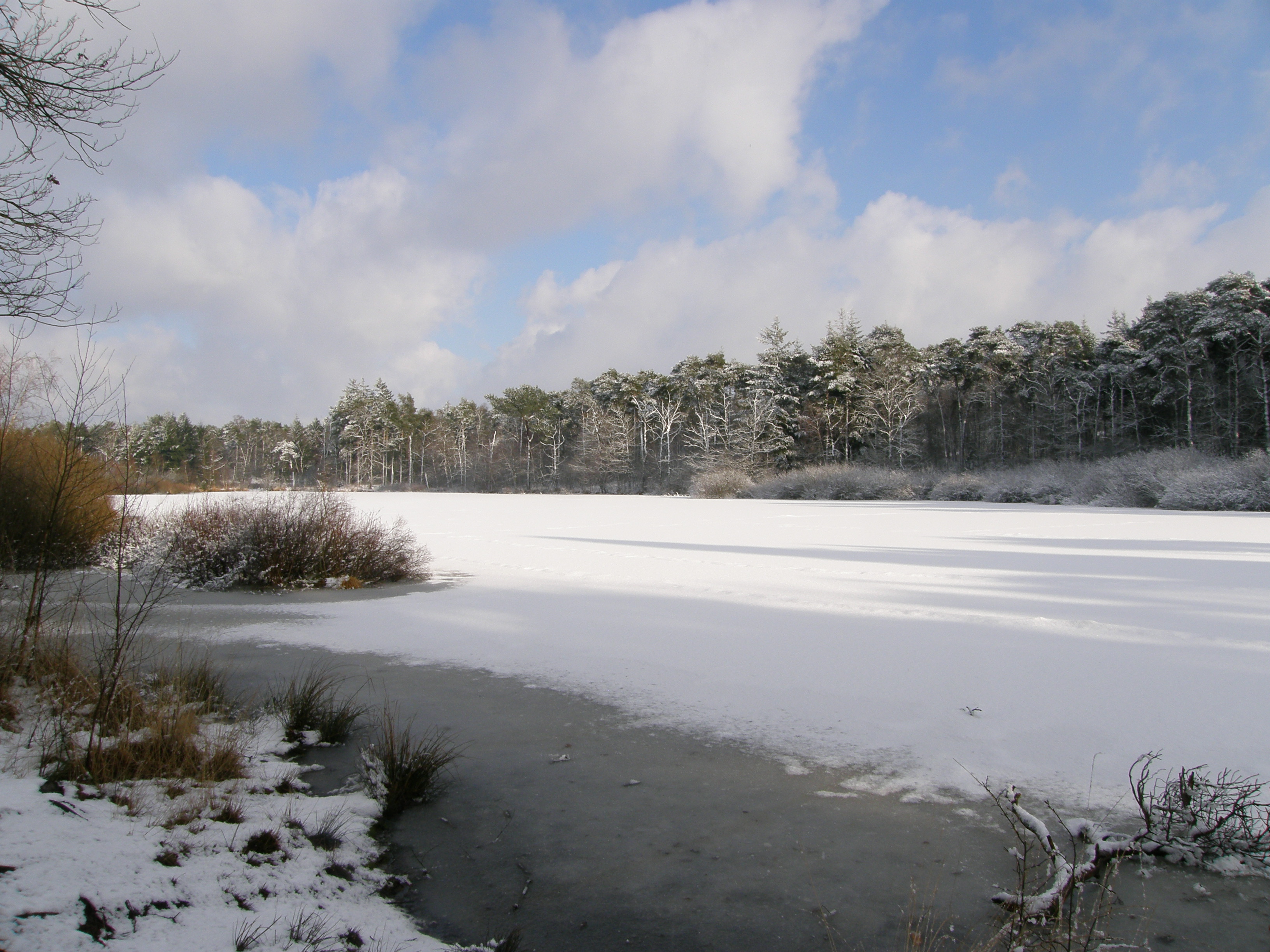 Winters ven in de zon