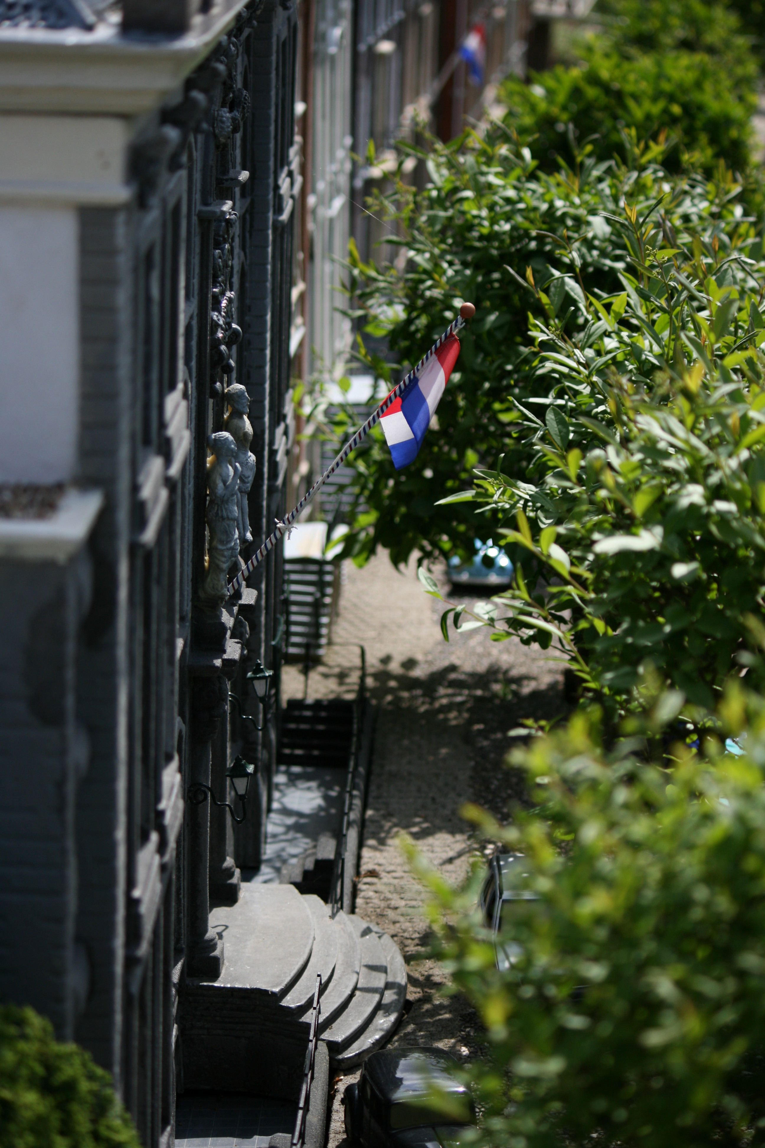 Nederlandse driekleur