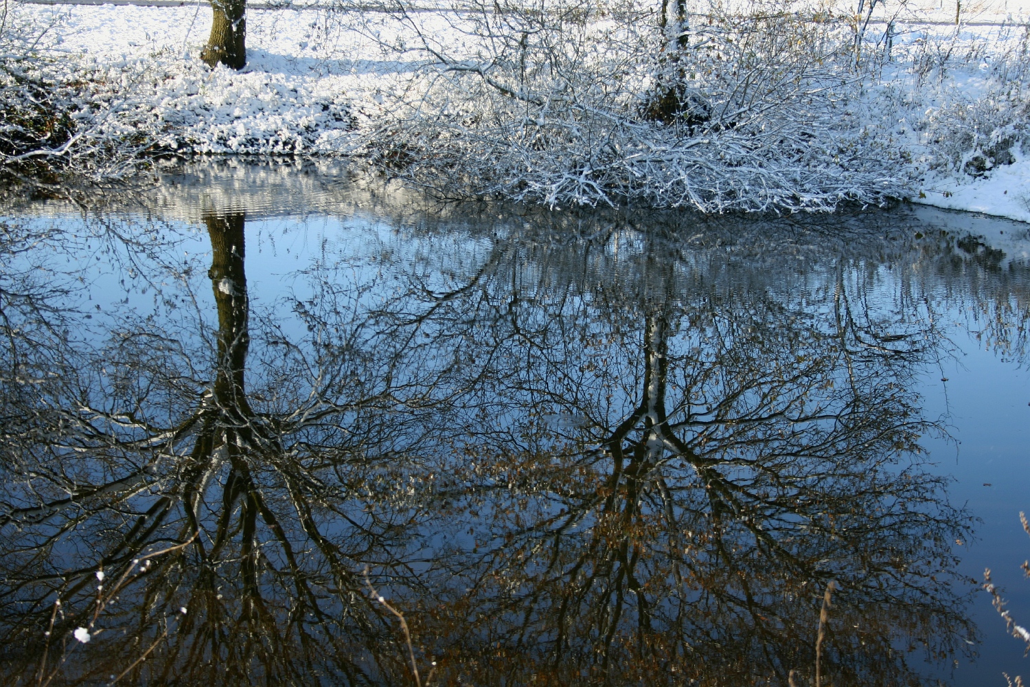Winterse weerspiegeling