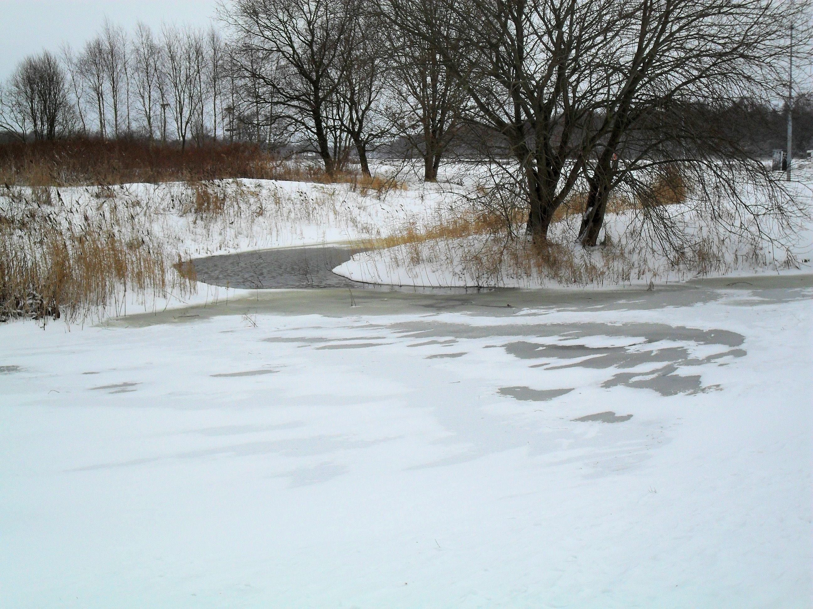 winter2010