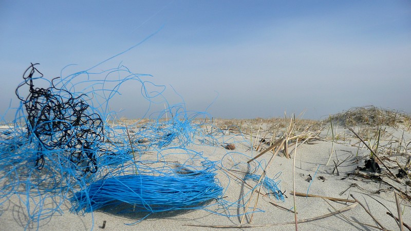 blauw accent op strand Schiermonnikoog