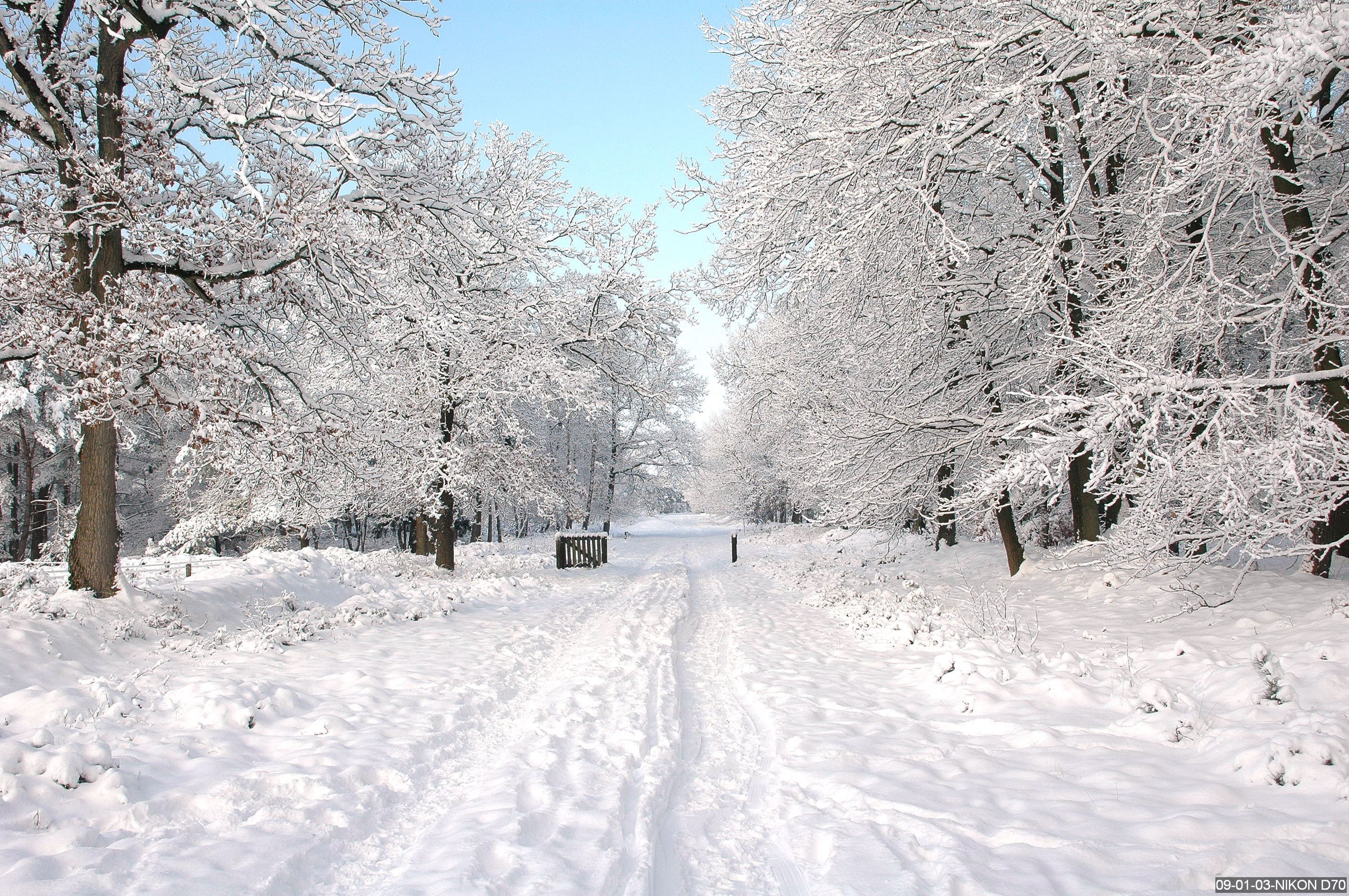 Winterse Veluwe 1