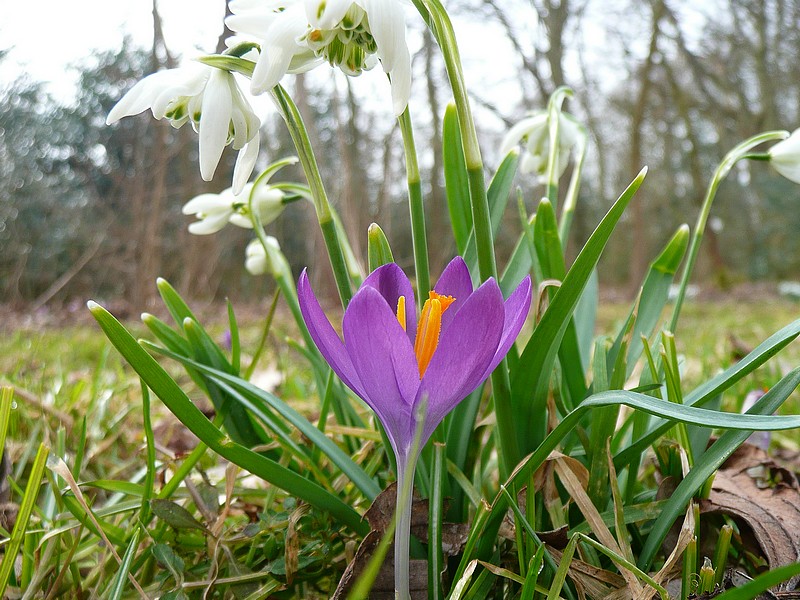Lente op Schiermonnikoog