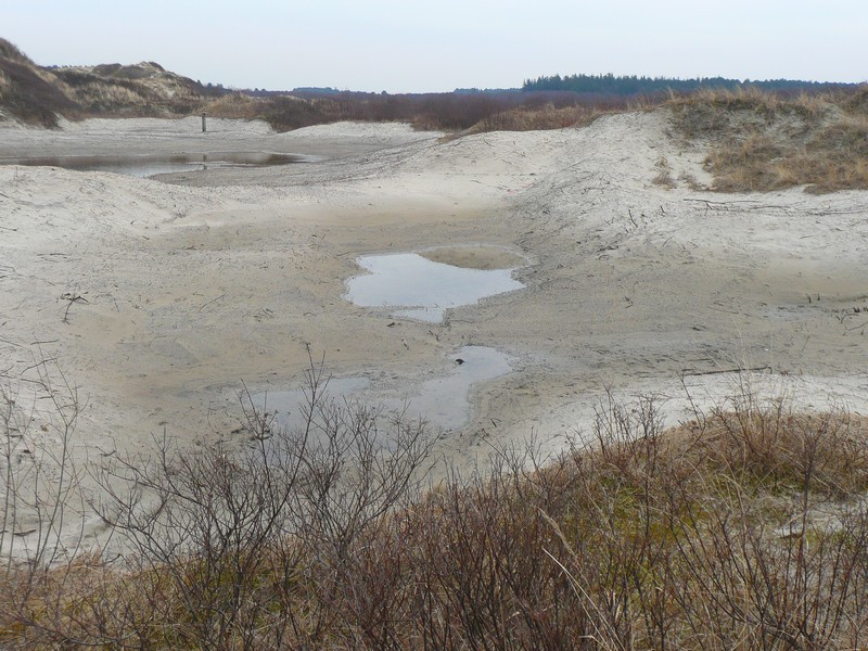 duinvallei Schiermonnikoog