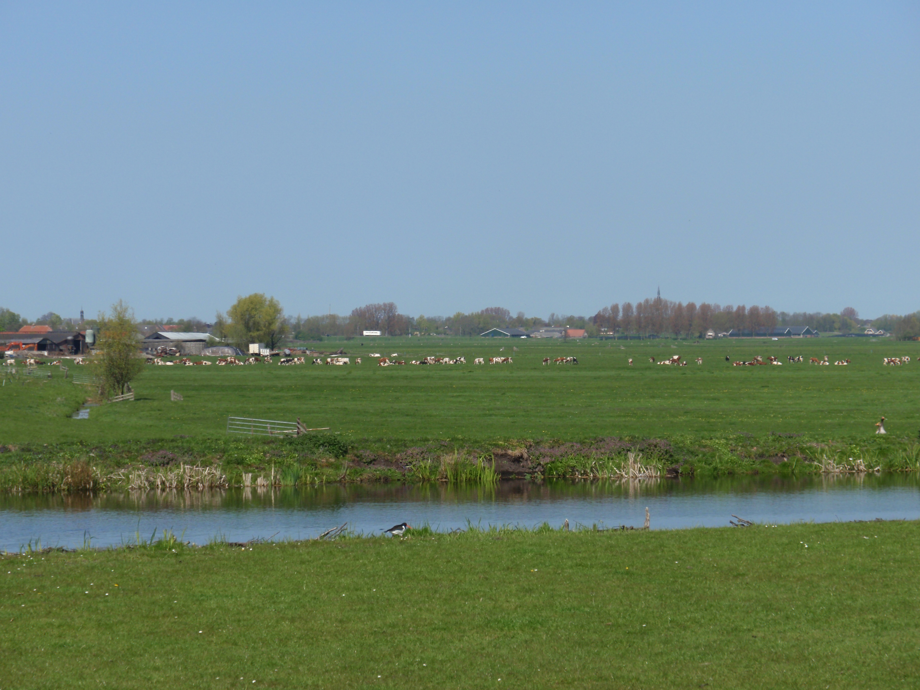 Landelijker kan het niet