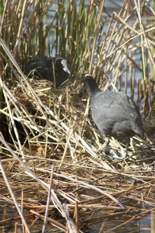 De lente is werkelijk begonnen