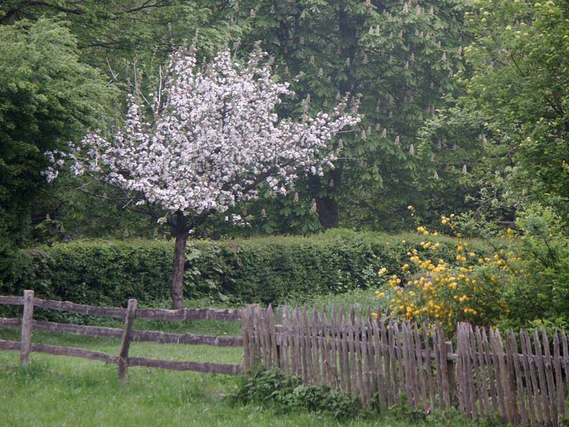 tuin in mei