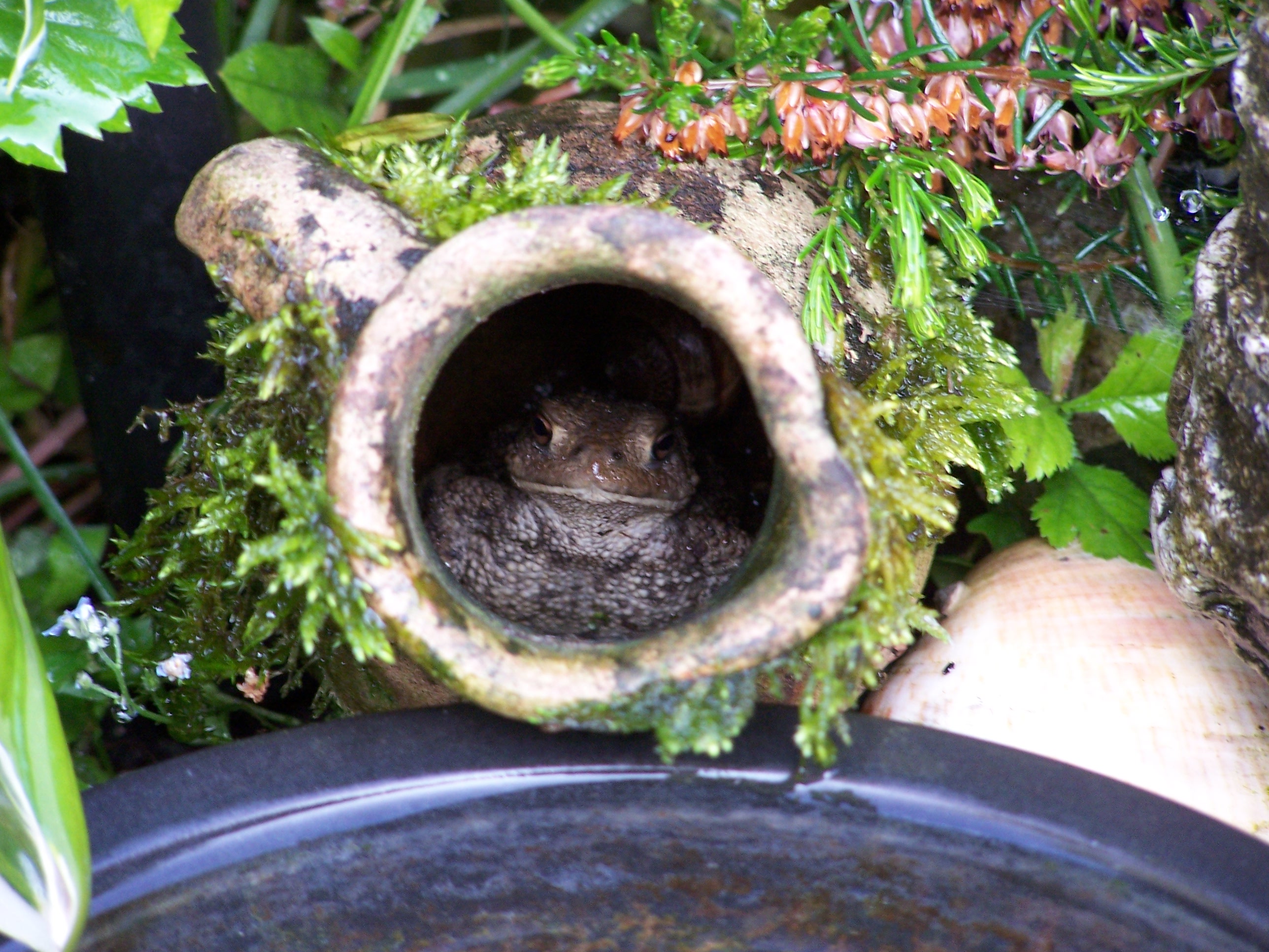 Schuilen voor de regen