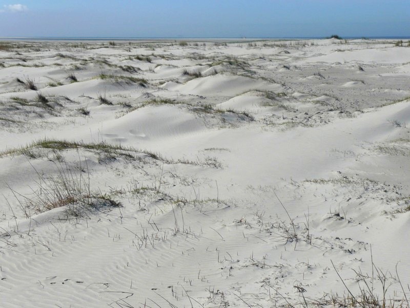 zandduintjes op Schiermonnikoog