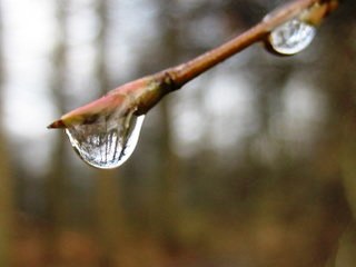 perspectief in waterdruppel