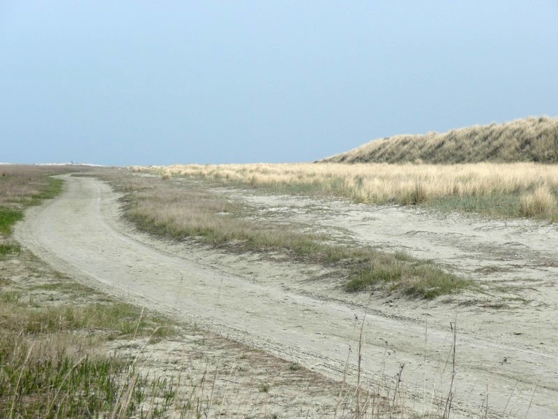 duinenrij op Schiermonnikoog