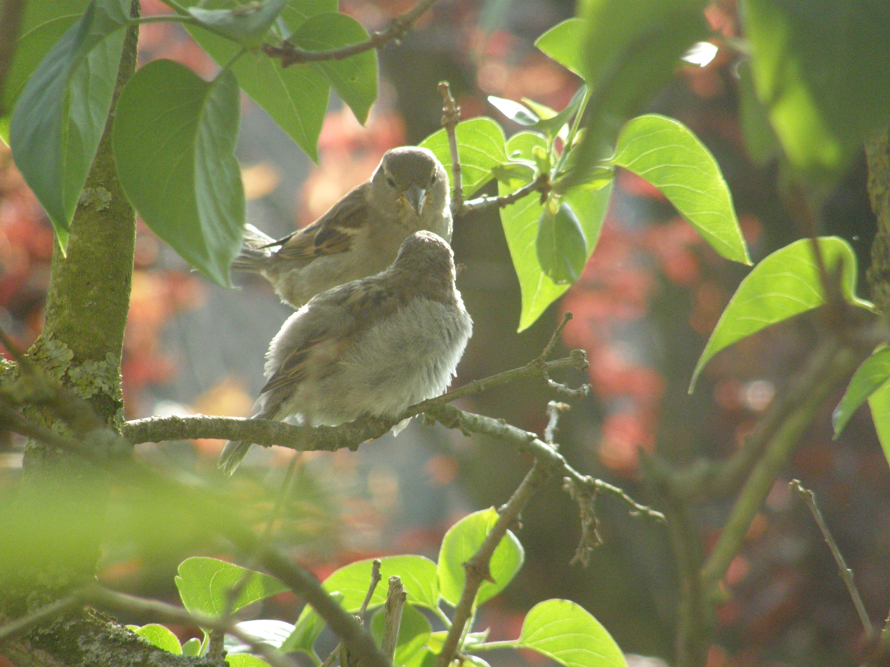 Lieflijk tafereeltje.