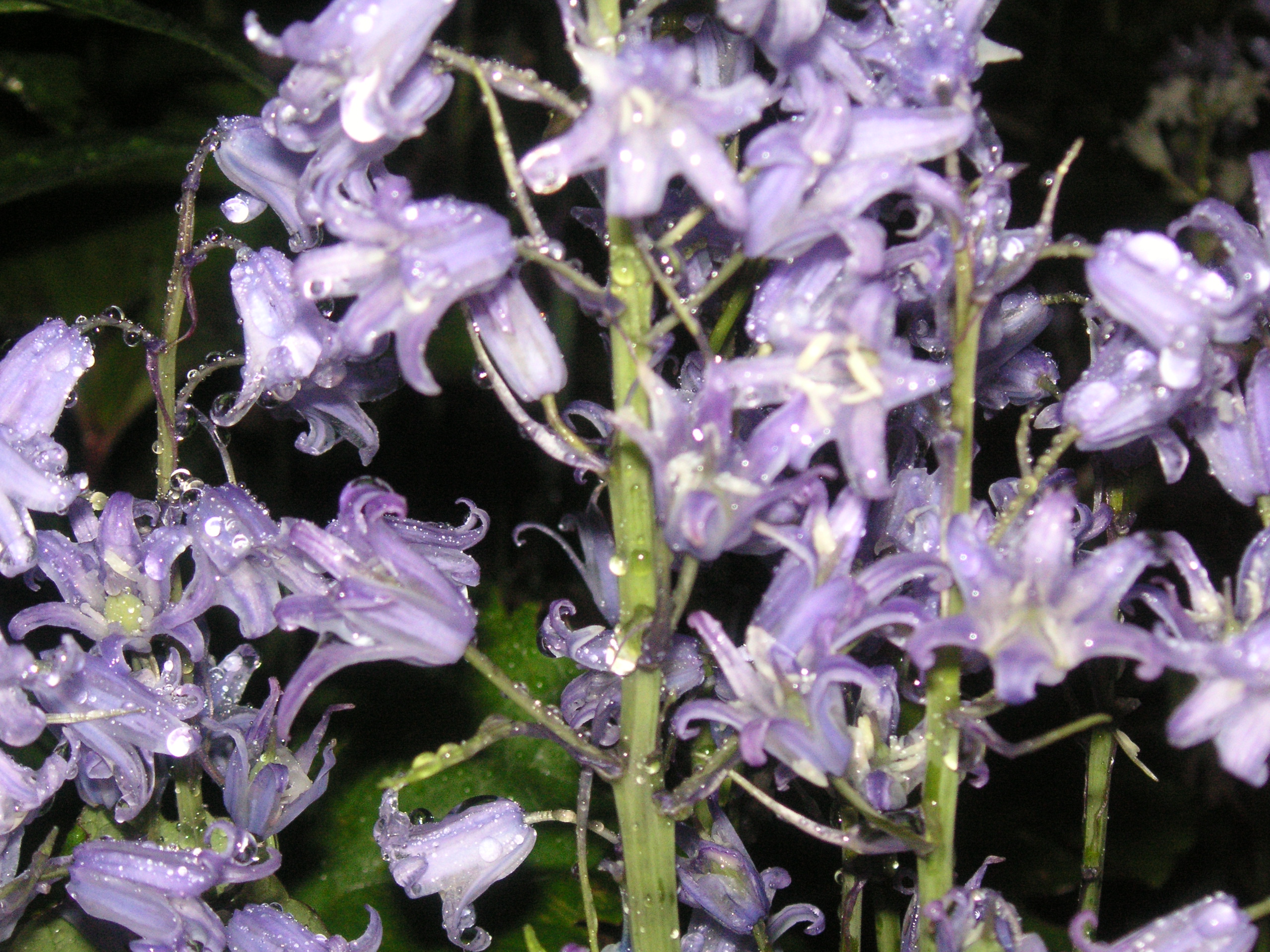 Eindelijk een drankje!