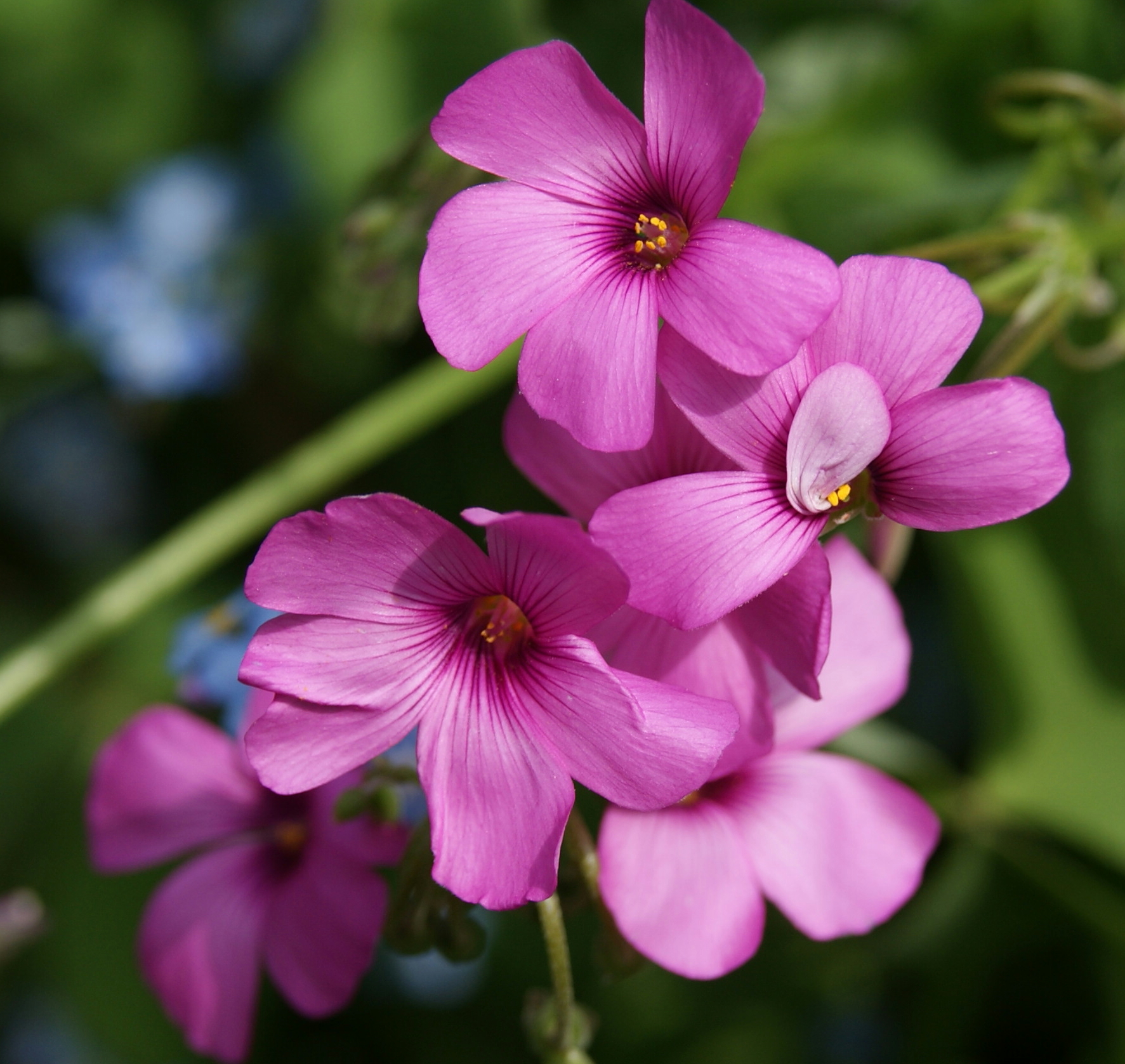 hoe mooi is de natuur