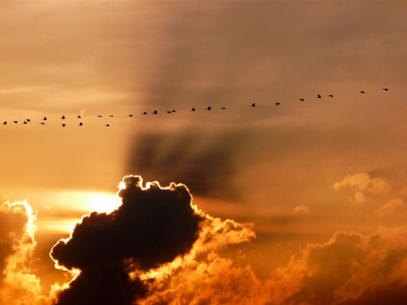 prachtige zonsondergang net voor tienen